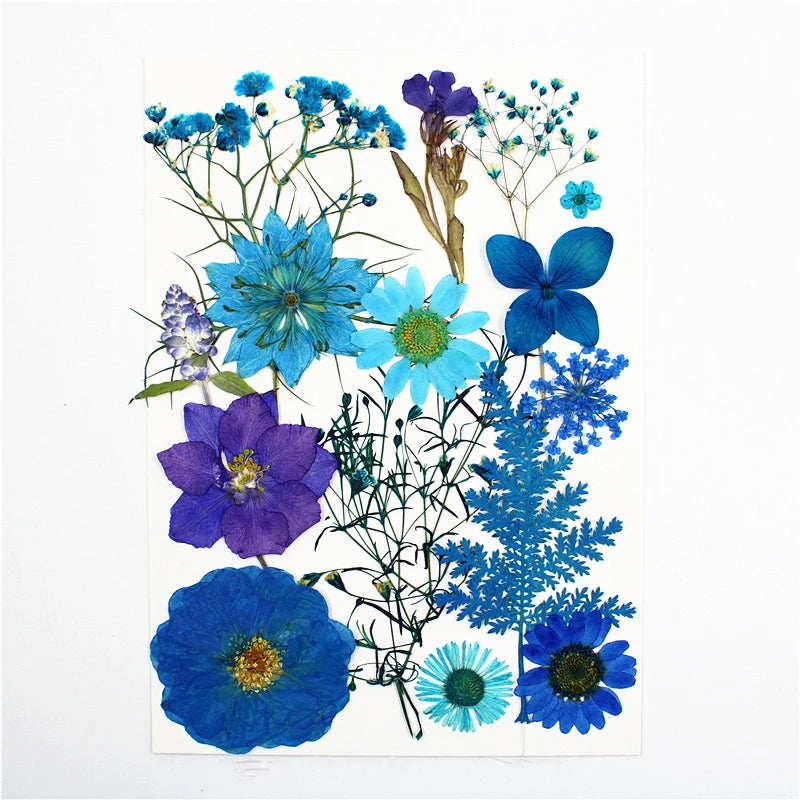 Dried Flowers Real Natural Plant Pressed Flower For Epoxy Resin Filling DIY Keychain Pendant Silicone Mold Jewelry Making Crafts