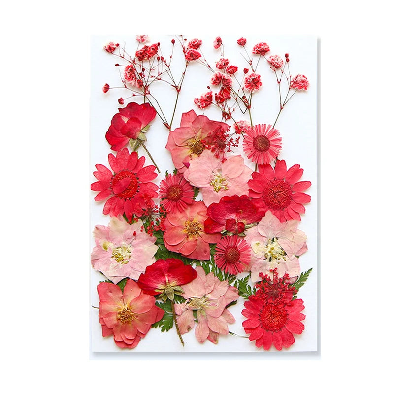 Dried Flowers Real Natural Plant Pressed Flower For Epoxy Resin Filling DIY Keychain Pendant Silicone Mold Jewelry Making Crafts