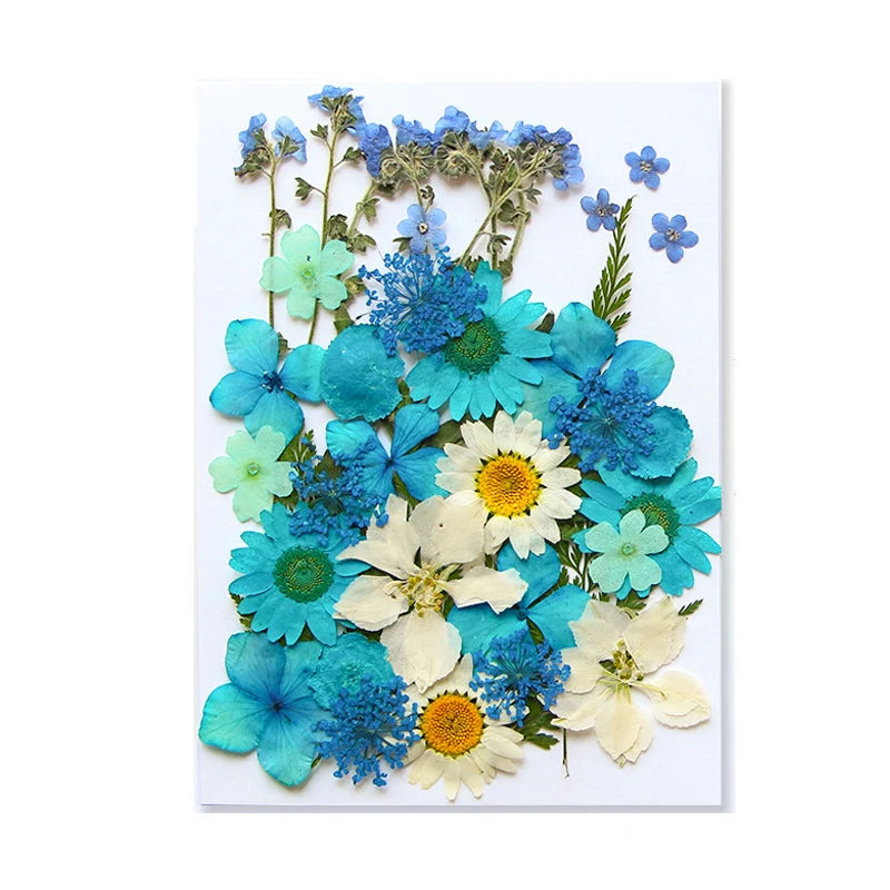 Dried Flowers Real Natural Plant Pressed Flower For Epoxy Resin Filling DIY Keychain Pendant Silicone Mold Jewelry Making Crafts