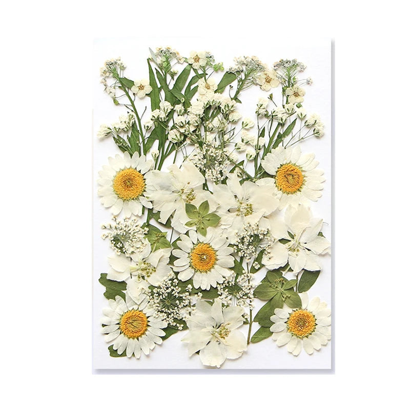 Dried Flowers Real Natural Plant Pressed Flower For Epoxy Resin Filling DIY Keychain Pendant Silicone Mold Jewelry Making Crafts