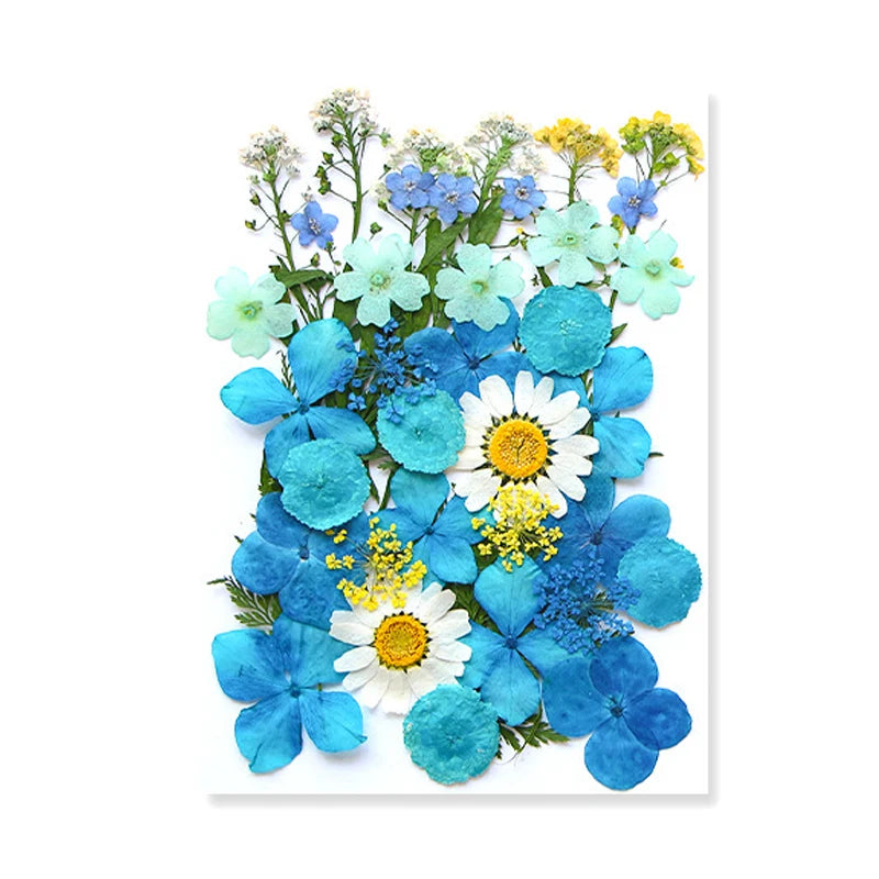 Dried Flowers Real Natural Plant Pressed Flower For Epoxy Resin Filling DIY Keychain Pendant Silicone Mold Jewelry Making Crafts