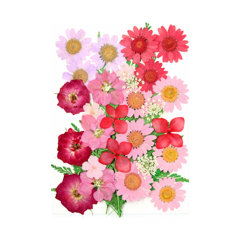 Dried Flowers Real Natural Plant Pressed Flower For Epoxy Resin Filling DIY Keychain Pendant Silicone Mold Jewelry Making Crafts